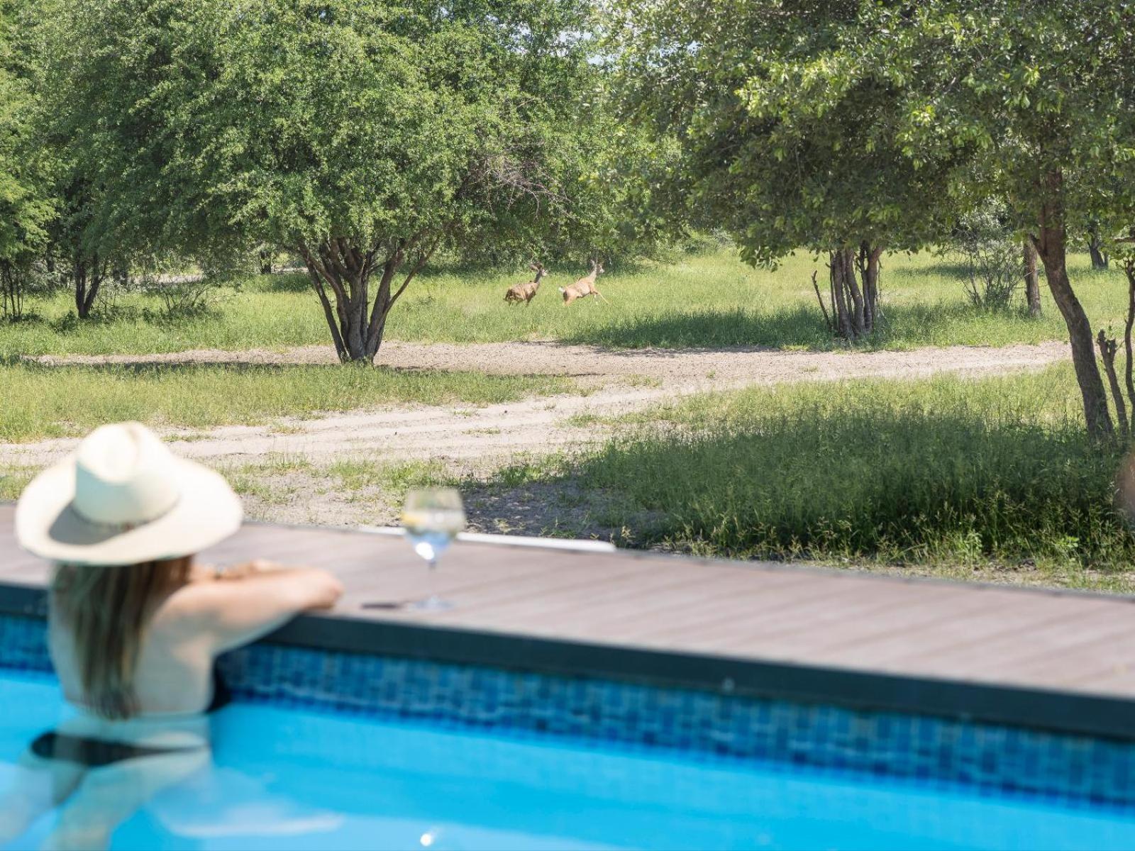 Leopard Plains Villa Motopi Bagian luar foto