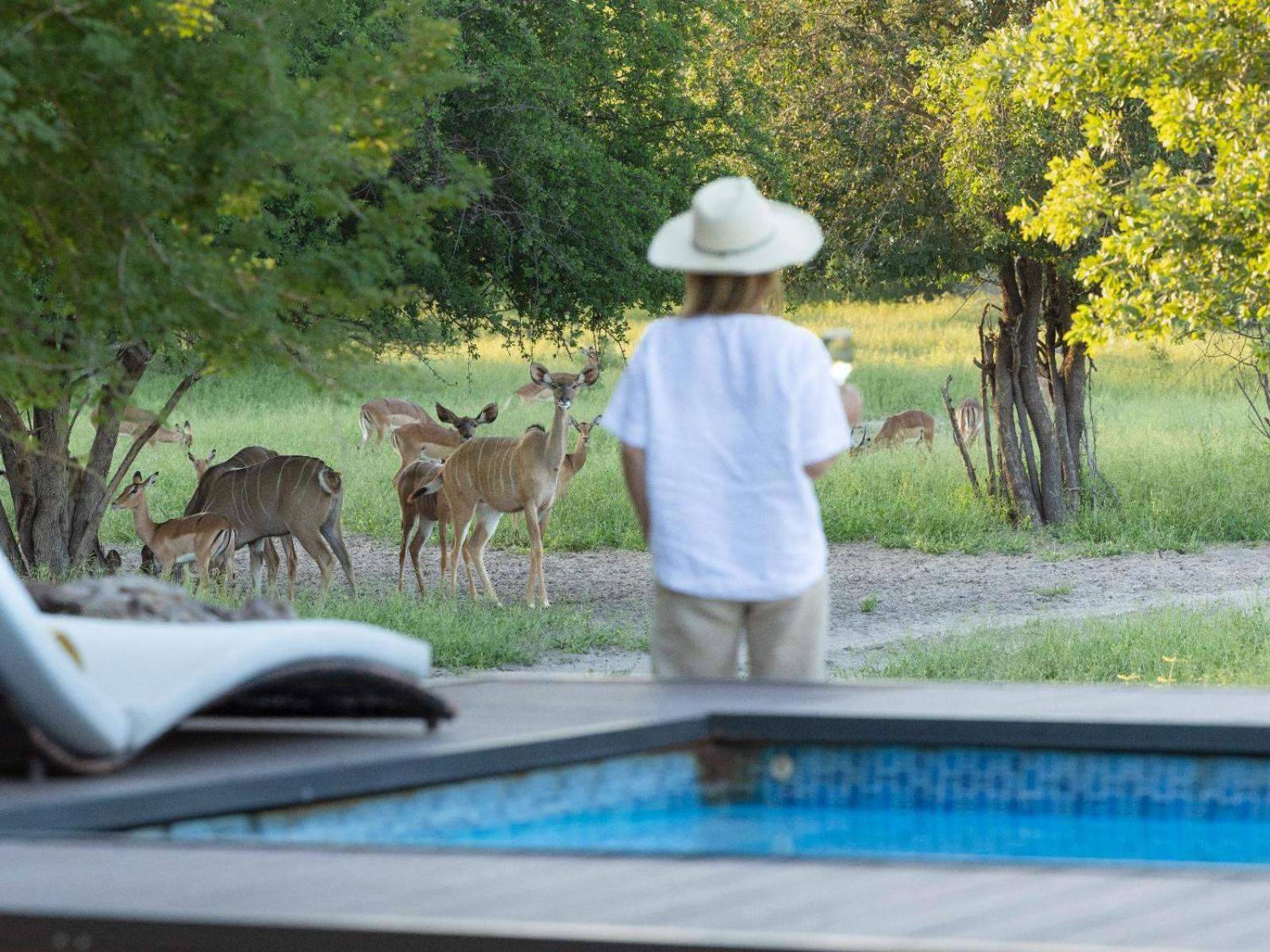 Leopard Plains Villa Motopi Bagian luar foto